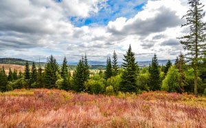 mountains, view, trees, hills, sky, nature, landscape, forest, outdoor, countryside, clouds
