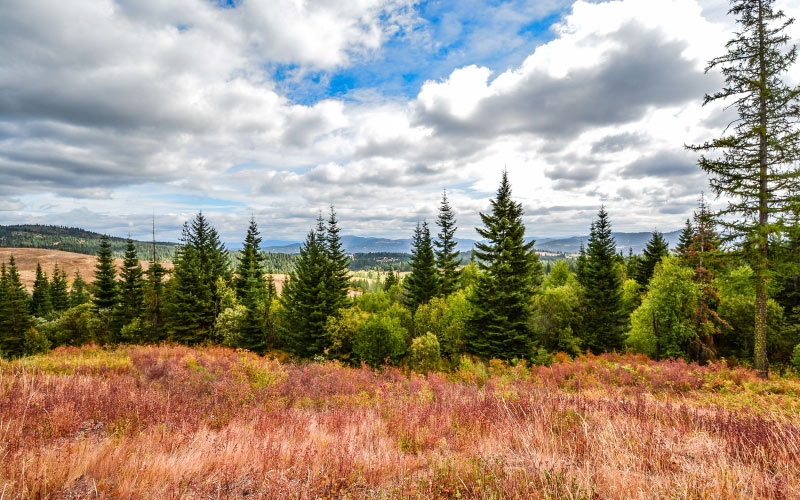 mountains, view, trees, hills, sky, nature, landscape, forest, outdoor, countryside, clouds
