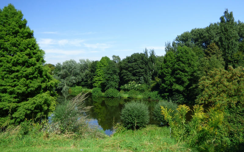 lake, pond, green, water, nature, rest, landscape, trees, spring, summer, waters