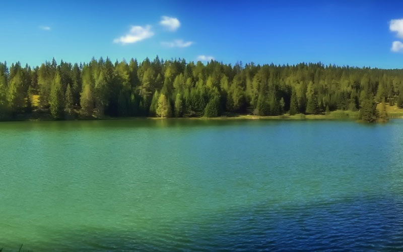 lake felixer, scenic, italy, forest, trees, woods, lake, water, panorama, summer, nature