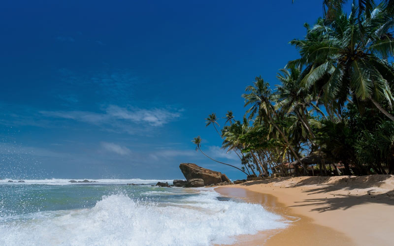 beach, coconut trees, idyllic, island, ocean, relaxation, resort, sand, sea, seascape, seashore, summer, sun, travel, tropical, vacation, water