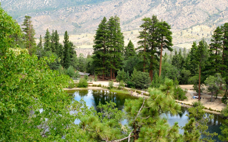 mountain lake, summer, forest, nature, camping, summer camp, san bernardino, national park, california, jenks lake, picnic, pine trees, landscape