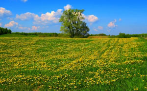 village, masuria, landscape, nature, spring, summer, sun, country, meadow, sky