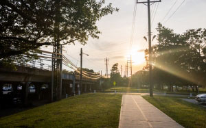 sun, sidewalk, train station, nature, sky, summer, trees, weather, grass