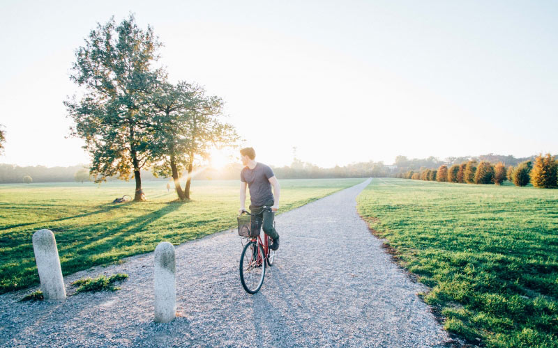 bike, cyclist, daylight, landscape, man, nature, outdoors, park, pathway, person, road, sky, trees, trip, morning,