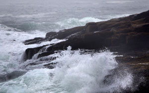 nature, landscape, ocean, water, waves, rocks, fog, sea, foam