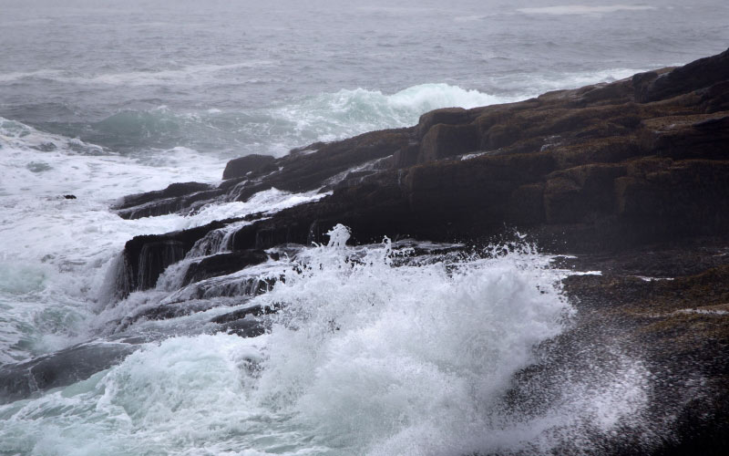 nature, landscape, ocean, water, waves, rocks, fog, sea, foam