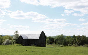 barn, clouds, forest, house, landscape, light, lost, meadow, nature, sky, green, trees