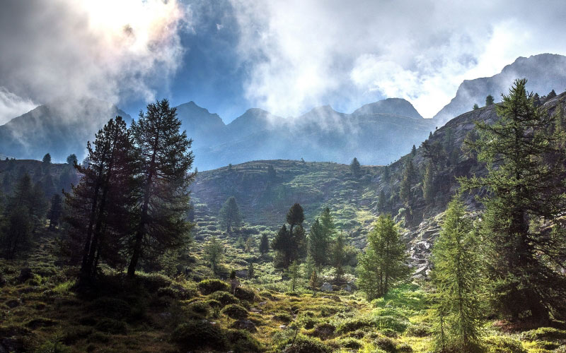 forest, mountain, panorama, landscape, nature, sky, clouds, fog, valley, beech, trees, summer, grass