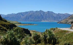 lake hawea, otago, new zealand, landscape, nature, mountains, lake, palms, view