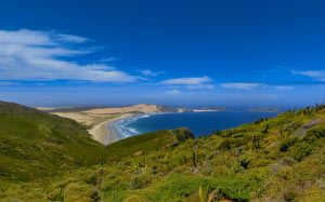 landscape, beach, coast, sea, nature, atlantic, landscape, waves, grass, rock, sky, ocean, summer, new zealand, north island, seaside