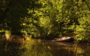 lake, boat, forest, river, nature, bank, summer, landscape, water, silent, green, bushes