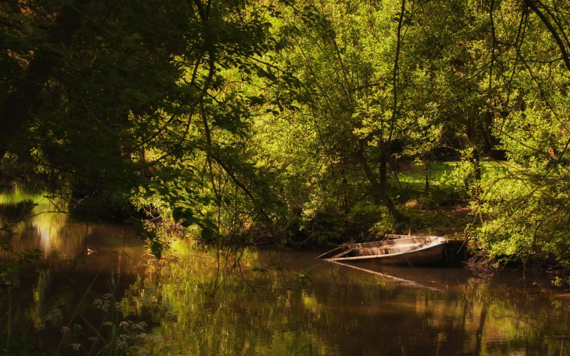 lake, boat, forest, river, nature, bank, summer, landscape, water, silent, green, bushes
