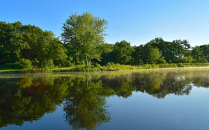 lake, forest, trees, water, reflection, nature, landscape, summer, outdoor, sky, blue, green, nature, sunrise, calm, morning