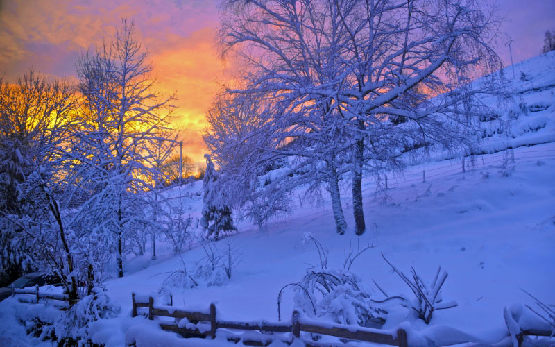 sunrise, sunset, snow, mountain, nature, winter, landscape, cold, snowy, trees, bare shaft, blue, hill