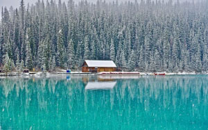 cabin, cold, environment, fir, trees, forest, lake, landscape, nature, river, scenery, scenic, season, snow, woods, water, wilderness, winter