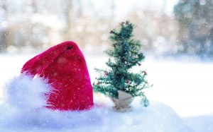blur, celebration, xmas, christmas, christmas decoration, cold, december, fir, hat, holiday, new year, pine, santa, shining, snow, winter