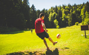 soccer, football, ball, sports, grass, sun, lawn, nature, trees, forest, recreation