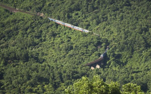 train, hue city, pass, vietnam, danang, hai van pass, rail, landscape, mountain, forest, traffic, transportation
