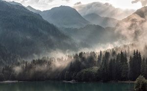 wood, lakeside, antholz, sun rays, fog, water, trees, mountains, hills, mist, sunshine, forest, nature