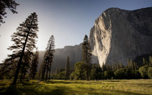 yosemite, el capitan, mountains, national park, rock, high, landscape, granite, forest, wood, yosemite, el capitan
