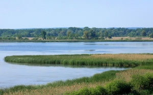 lagoon, water, landscape, view, nature, trees, lake, river, bushes, green, blue, sky
