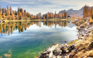 autumn, trees, forest, wood, lago federa, bergsee, dolomites, landscape, alpine, nature, lake, italy, mountains, panorama, belluno, alm, mountain landscape, karg