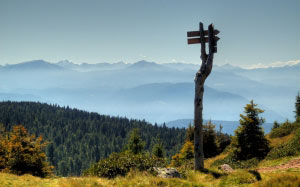 landscape, nature, mountains, forest, sky, sun, pointer