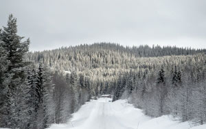 winter landscape, sweden, nature, road, forest, snow, trees