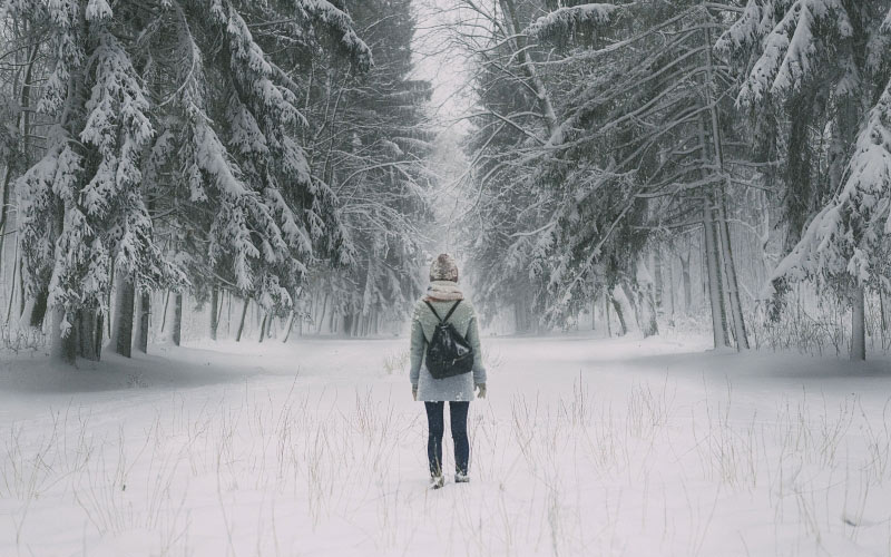 winter, girl, man, forest, wood, trees, snow, back