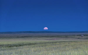 nature, landscape, mongolia, plains, horizon, meadow, grass