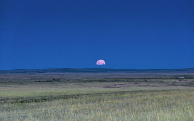 nature, landscape, mongolia, plains, horizon, meadow, grass