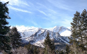 hills, mountains, pines, snow, trees, winter, forest, sunny, fir, landscape, nature, wood