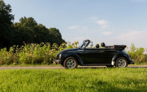 volkswagen beetle 1303, volkswagen beetle, beetle, summer, field, grass, august, landscape, nature, meadow