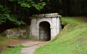 fairy, portal, grass, landscape, nature, trees, passage, green, historical, gate, forest, fantasy
