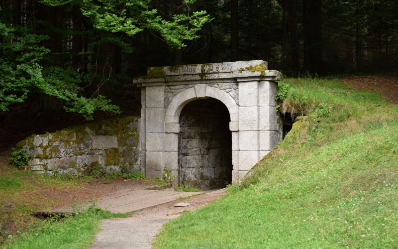 fairy, portal, grass, landscape, nature, trees, passage, green, historical, gate, forest, fantasy