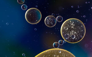 oil in water, suspension, liquid, abstract, macro, oil, cells, circles, oil drops