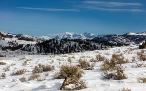 landscape, nature, forest, wilderness, mountains, snow, winter, meadow, countryside, valley, mountain range, travel, scenic