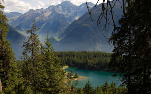 arnisee lake, switzerland, mountains, forest, wood, trees, spruce, fir, summer, landscape, nature