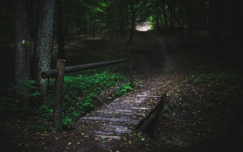 bridge, wood, forest, trees, green, way, route, path, fairytale, dark, nature, mystical