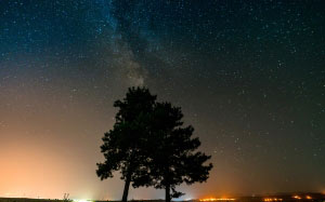 trees, sky, stars, nature, night, atmospheric, horizon, landscape, space, astronomy, midnight, darkness, astronomical, evening, constellation