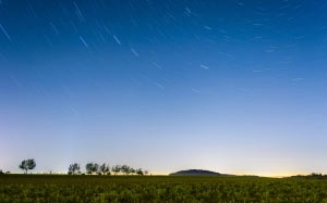 countryside, cropland, dawn, evening, farmland, field, grass, horizon, landscape, nature, outdoors, sky, stars, swirly bokeh, trees