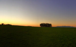 landscape, trees, nature, grass, horizon, light, sky, sunset, field, farm, meadow, prairie, countryside, panorama, dusk, evening, outdoors