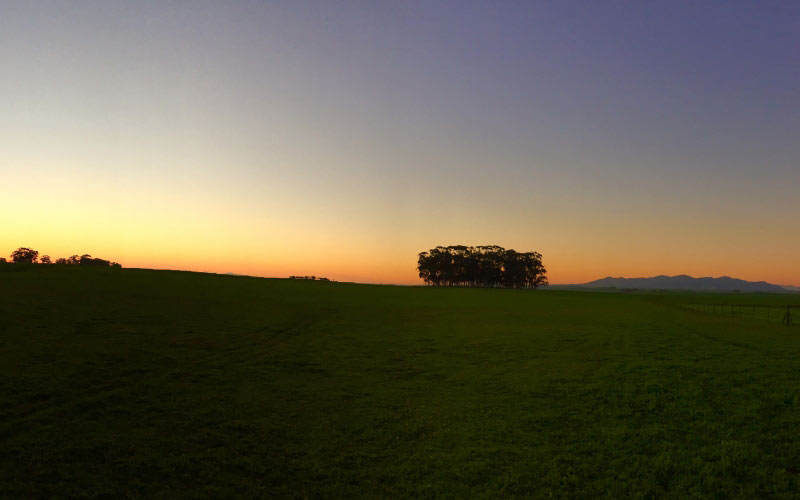 landscape, trees, nature, grass, horizon, light, sky, sunset, field, farm, meadow, prairie, countryside, panorama, dusk, evening, outdoors