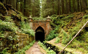 fairy, wood, nature, trees, wall, passage, green, medieval, gate, forest, fantasy