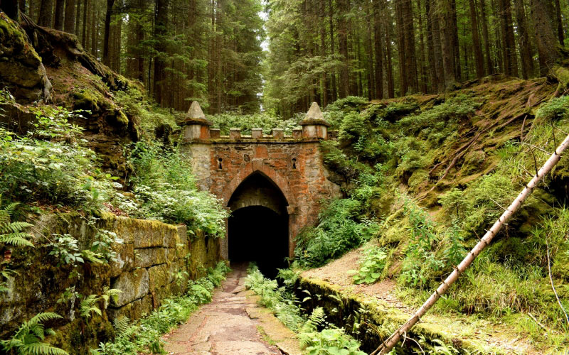 fairy, wood, nature, trees, wall, passage, green, medieval, gate, forest, fantasy