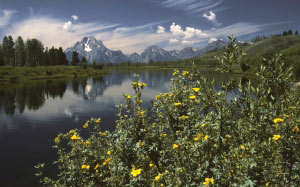 oxbow bend, outlook, grand teton, national park, view, snake river, mount moran, skillet glacier, landscape, nature