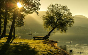 landscape, summer, sunrise, lighting, sun, nature, lake, scenic, carinthia, trees, bank, water, ducks