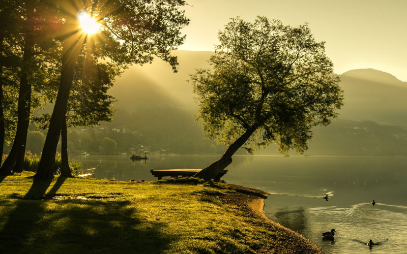 landscape, summer, sunrise, lighting, sun, nature, lake, scenic, carinthia, trees, bank, water, ducks