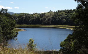 lake euramoo, north queensland, lake, forest, trees, nature, landscape, summer, day, sunny
